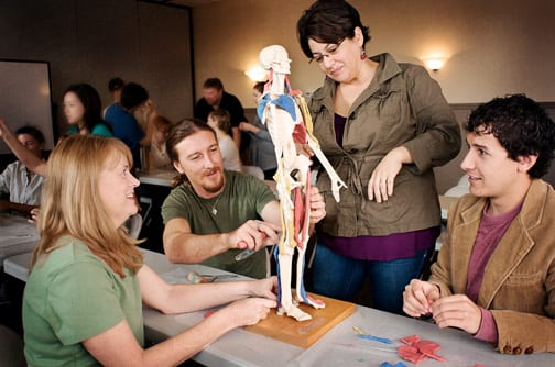 learn anatomy for massage therapists