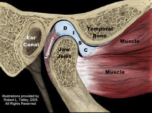 Normal-TMJ-Closed